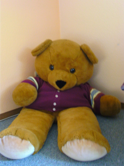 Riesiger Teddybär zum Kuscheln - Baby und Kind - Tamm