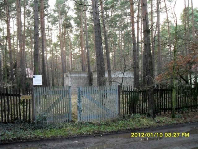 Waldgrundstück - Immobilien - Schnaditz