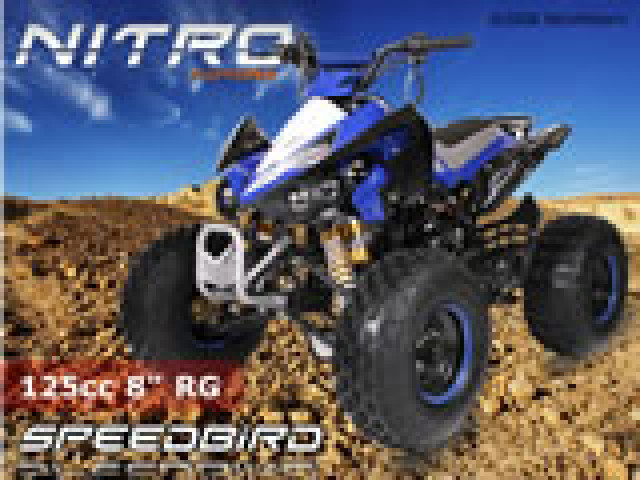 Kinderquad für das sportliche Kind  ( Speedbird CXG 125 ) - Sport - Ingolstadt