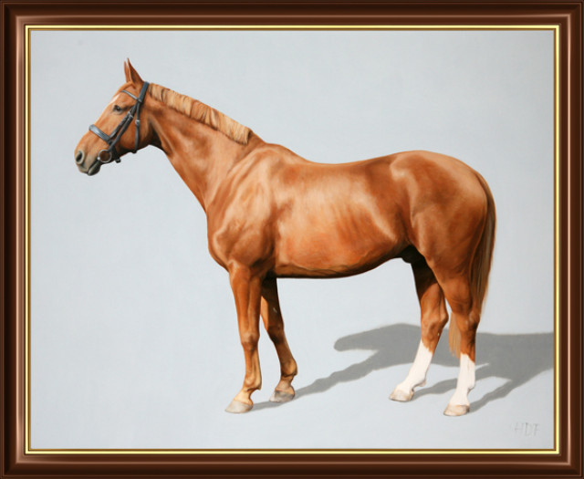 Realistische Tierportraits in Öl von Heinzz Flottran - Tiere - Weimar