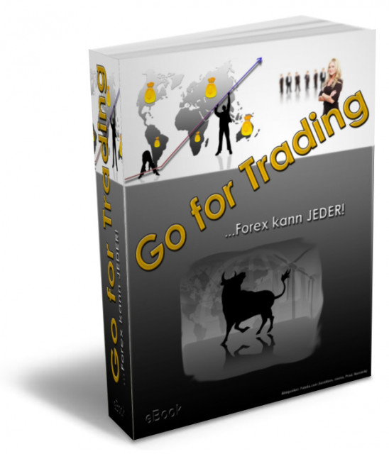 Go for Trading - Forex kann jeder! - Buero Geschaeft - Fürstenau