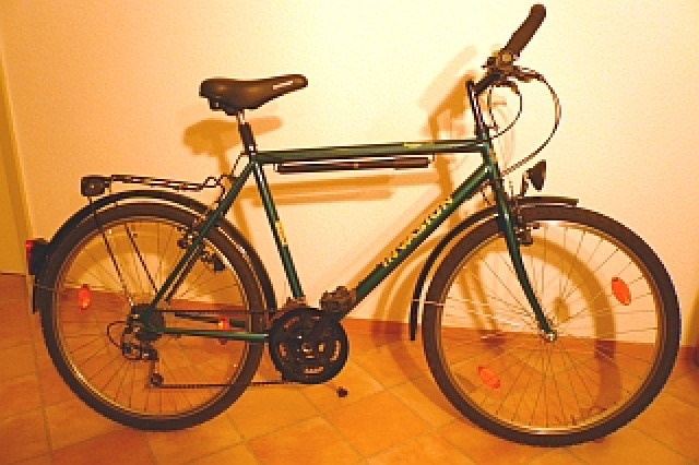 Herren-Fahrrad 26 Zoll, Type BIKE INVASION - Fahrraeder - Berlin