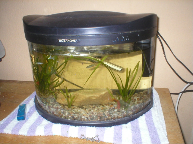 Aquarium zuverkaufen - Tiere - Asternwinkel 2 Arnsberg