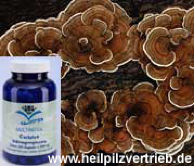 Coriolus Heil & Vitalpilze Multinova - Wellness Gesundheit - Rosenheim