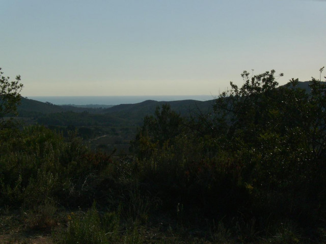 Spanien: unbebaute Finca, Meerblick Richtung Mallorca - Immobilien - Falkensee