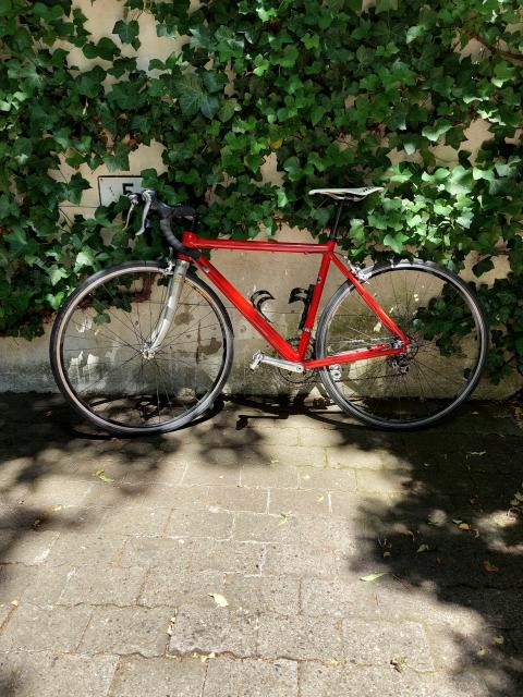 Rennrad Herren Damen - Fahrraeder - Neu-Isenburg