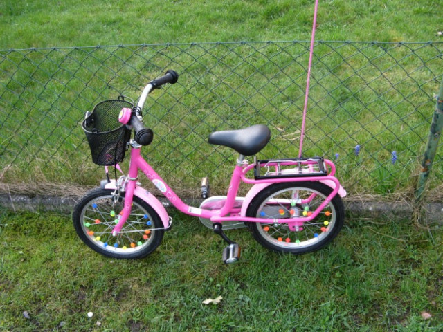 Puky Mädchenfahrrad   Baby Born   16 Zoll - Fahrraeder - Kiel