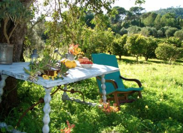 Finca mit Pool auf Mallorca von privat zu Vermieten - Urlaub Reise - Mallorca