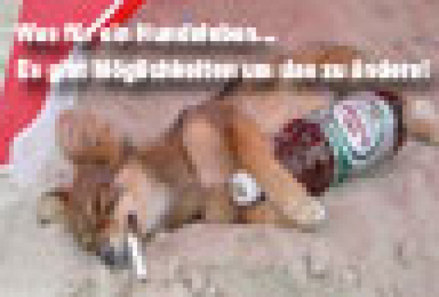 Verlagspromoter/innen - Stellenmarkt - Wien