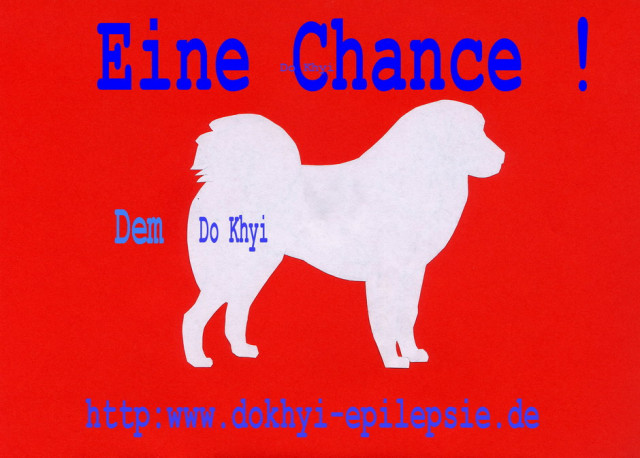Do Khyi eine Chance! - Tiere - limburgerhof