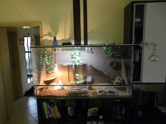 150x60x80 Glasterrrium - Tiere - Wenden