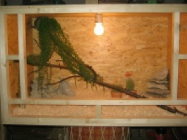 Holzterrarium 100x50x50  60 € - Tiere - lichtenau