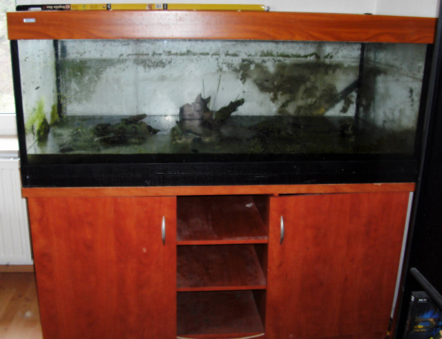 Aquarium 670 L - Tiere - bielefeld