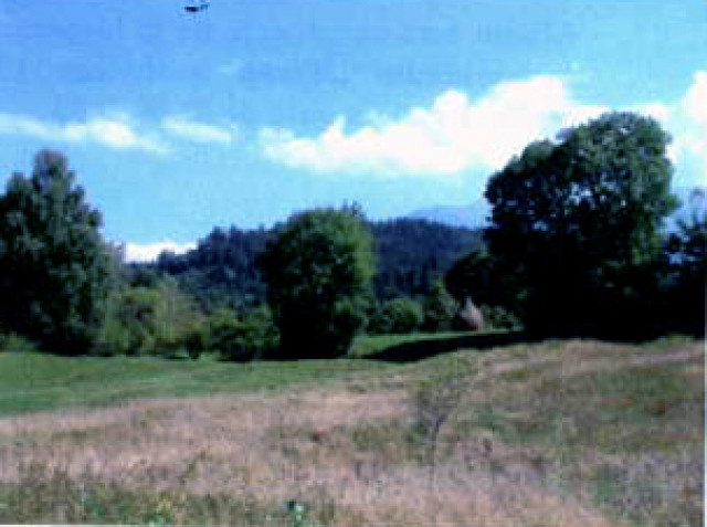 Land in Bran - Immobilien - Iasi, Rumanien