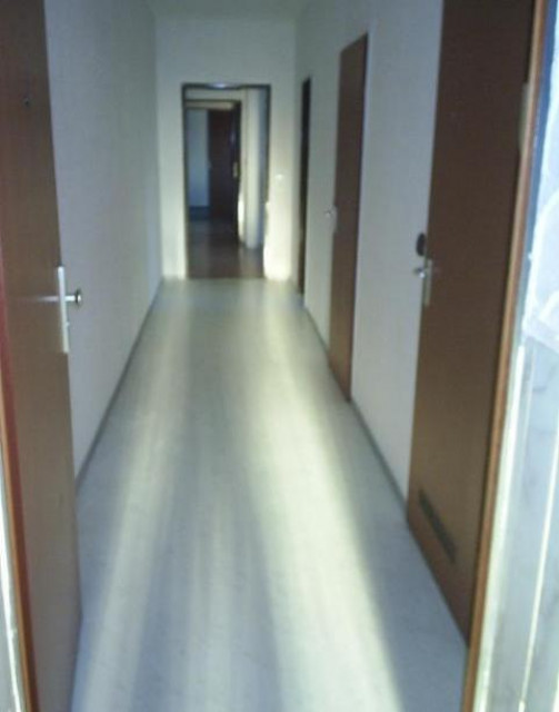 WOHNUNG 4 ZIMMER WG geeignet - Immobilien - Bergheim