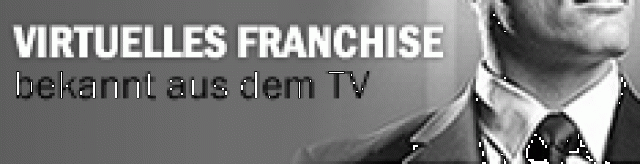 Virtuelles-Franchise - Stellenmarkt - Alfeld