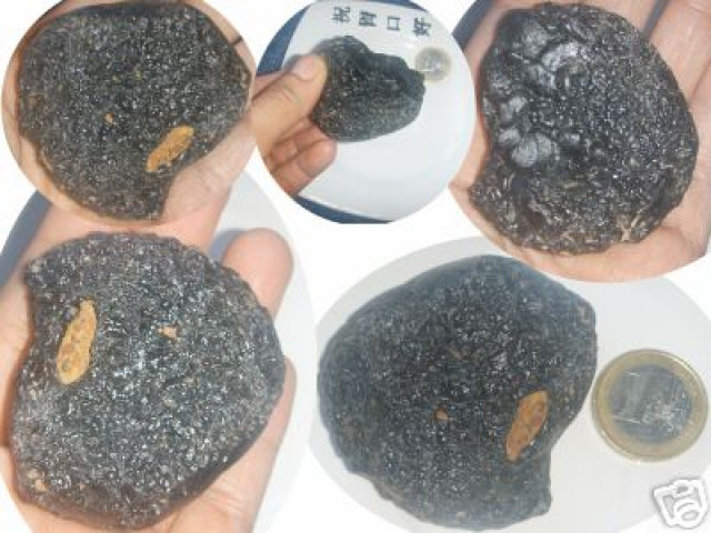 Meteorit Tektit Sammlungsauflösung - Sammlungen - Mannheim