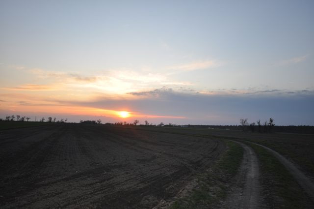 ZU VERKAUFEN LANDWIRTSCHAFT BETRIEB VON 600HA ACKERLAND MIT EINEM RENOVIERTEN SC - Immobilien - Chocianowice 