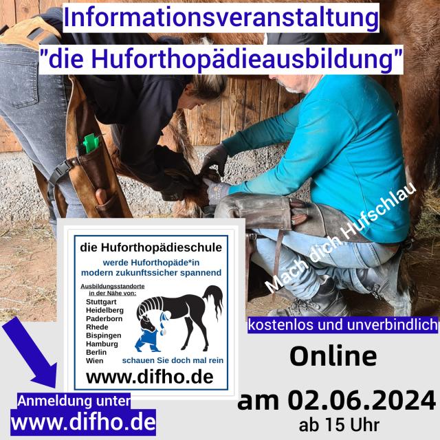 Werde Huforthopäde*in - modern zukunftssicher spannend - Tiere - Burgstetten