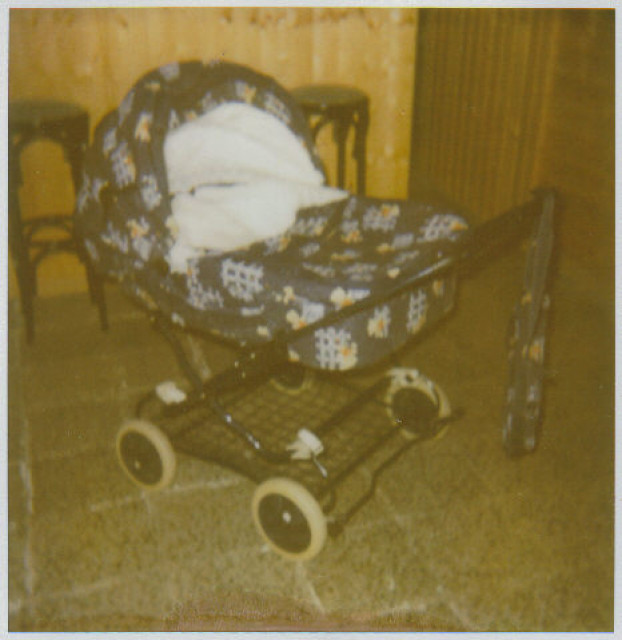 Verkaufe Zwillingswagen - Baby und Kind - Zwickau