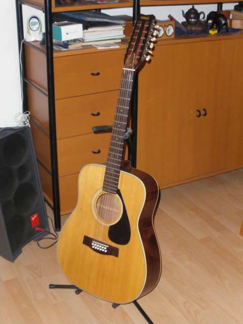 12-saitige Gitarre - Musik - Mönchengladbach