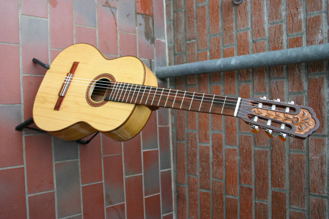 Di Giorgio Amazonia No 30 Baujahr 1979 für Sammler - Musik - Paderborn