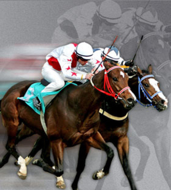 Gewinnstrategien für Sportwetten - Hobby Spiele - Berlin