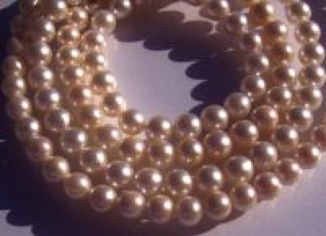 Pearls! Zuchtperlen und Edelsteine - Kommunikation - Neumünster