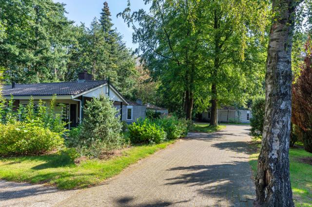 Genießen Sie einen wundervollen Urlaub mitten in der Veluwe!  - Urlaub Reise - Harderwijk