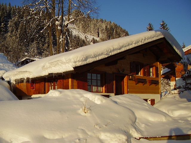 Kleines Ferienhaus für 2- max. 4 Personen in Tirol - Ferienwohnung Haus - Kitzbühel
