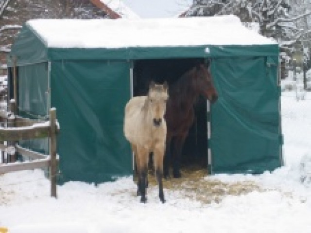 Weidezelt von animal-camping - Tiere - Hess. Lichtenau