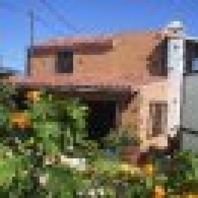 Urlaub auf Teneriffa Süd - Finca El Drago  - Immobilien - Granadilla