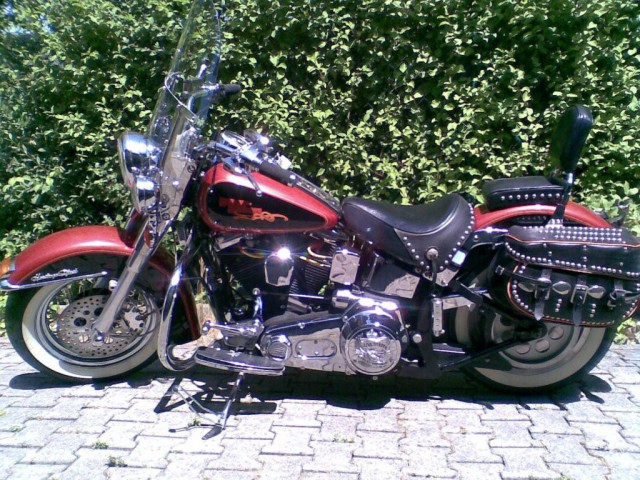 Harley Davidson FLSTC   wie neu   - Motorraeder und Teile nach Marken - Waldkraiburg