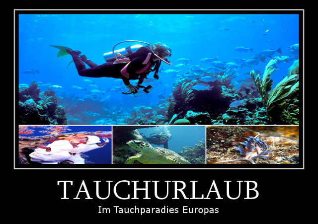 Tauchurlaub in der Top Tauchregion des Mittelmeers in Cabo de Palos - Urlaub Reise - München