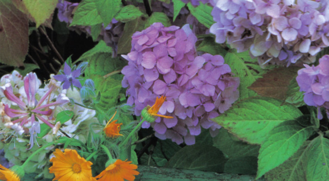 Guten Rat in schwierigen Zeiten... - Kommunikation - Köln und bundesweit/EU