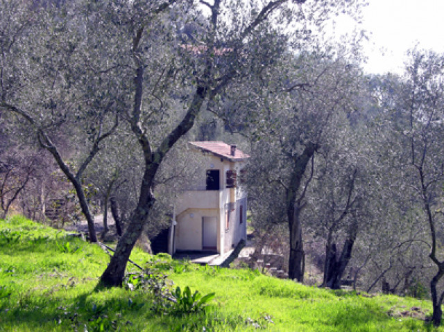 Kleines Landhaus an der Italienischen Riviera - Immobilien - Balestrino