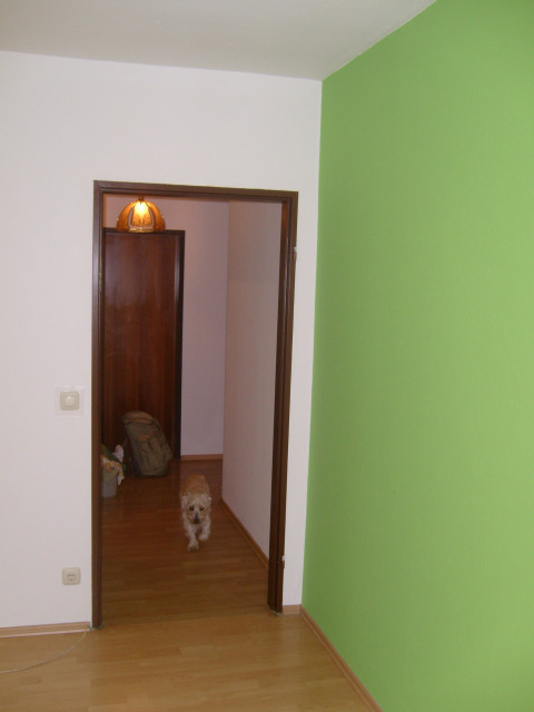  Renovierung? Malerarbeiten? Wohnungsübergabe- 01789825649 - Dienstleistungen Business Gewerbe - offenbach