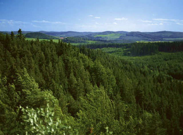 Himmel und Höhle - Hobby Spiele - Amberg