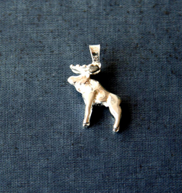 Anhänger aus Silber - Kleidung Schmuck Accessoires - Rommerskirchen