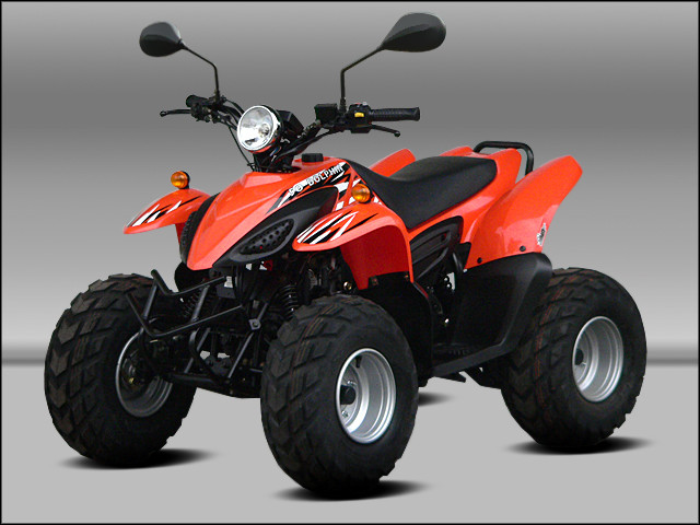 ATV Dolphin 50cc mit Zulassung - Motorraeder und Teile nach Marken - Essen