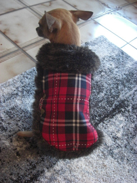 Schöner Hundepulli in Größe XS (Rot,Schwarz) - Tiere - Bruchsal