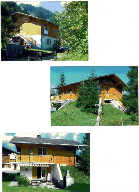 Chalet zu vermieten - Immobilien - Kaiseraugst