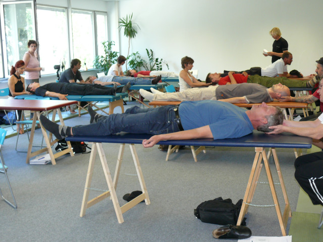 Osteopathie/Kraniosakrale/Heilpraktiker Ausbildung - Stellenmarkt - München