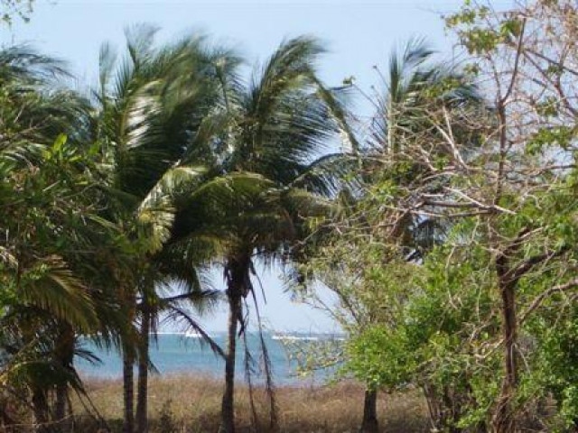 Schönes Baugrundstück 100 Meter vom Strand entfernt, Guanacaste, Costa Rica - Immobilien - Playa Junquillal