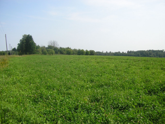 Ackerland in Lettland zu verkaufen - Immobilien - Ludza