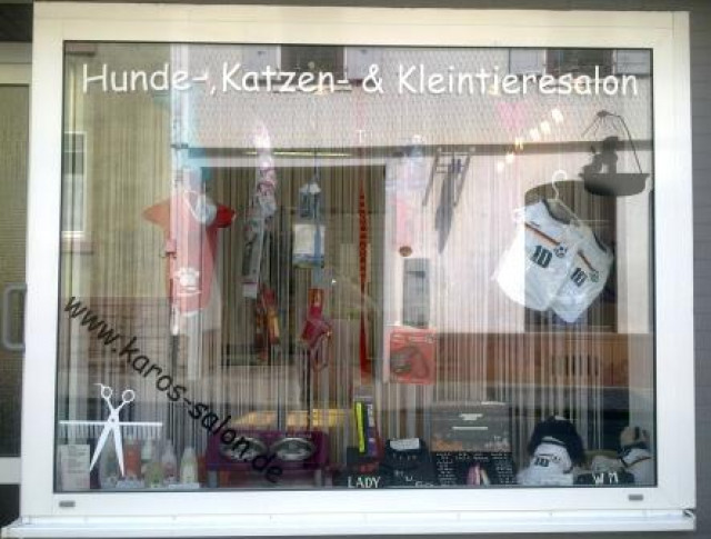 Hundesalon & Katzensalon Behandlung ohne Narkose - Tiere - Dieburg