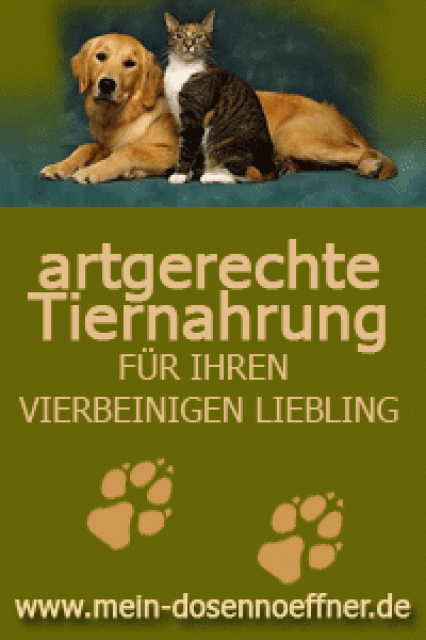 Pferdebesitzer gesucht, die sich was dazu verdienen möchten - Tiere - Porta Westfalica