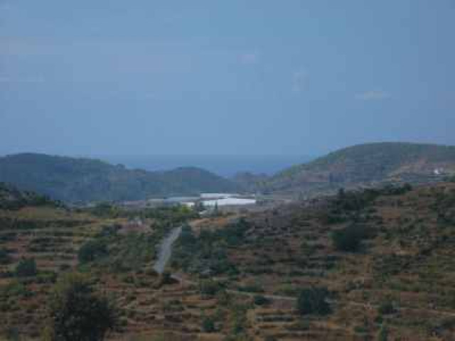 1000 qm Baugrundstück 15.000.—Euro !!!! - Immobilien - Türkei-Alanya-Demirtas