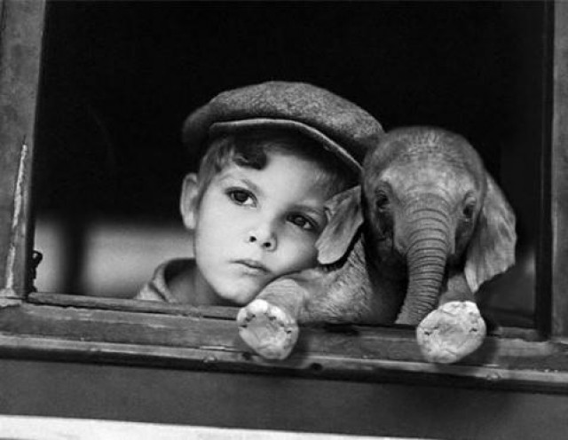 Sie suchen eine liebevoll, zuverlässige u. erfahrene Betreuung für Ihr Kind? - Baby und Kind - Durmersheim