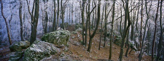 Winterliche Wanderlust auf dem Erzweg - Hobby Spiele - amberg